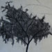From Winter