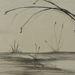 Pond