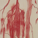 Red Winter