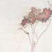 Red Wisps