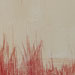 Red Dune (Detail)