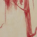 Red Winter (Detail)