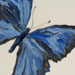 Metamorphosis (Detail)